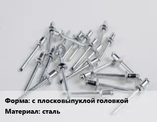 Заклепка с плосковыпуклой головкой сталь